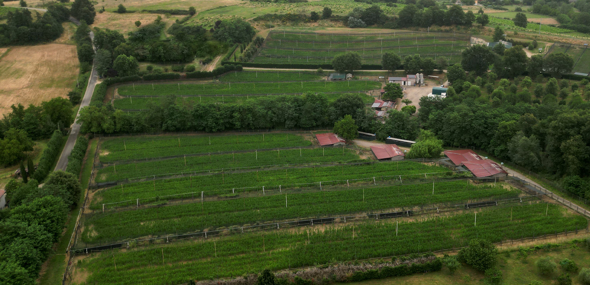 Agricola Altieri allevamento fagiani e pernici rosse Toscana